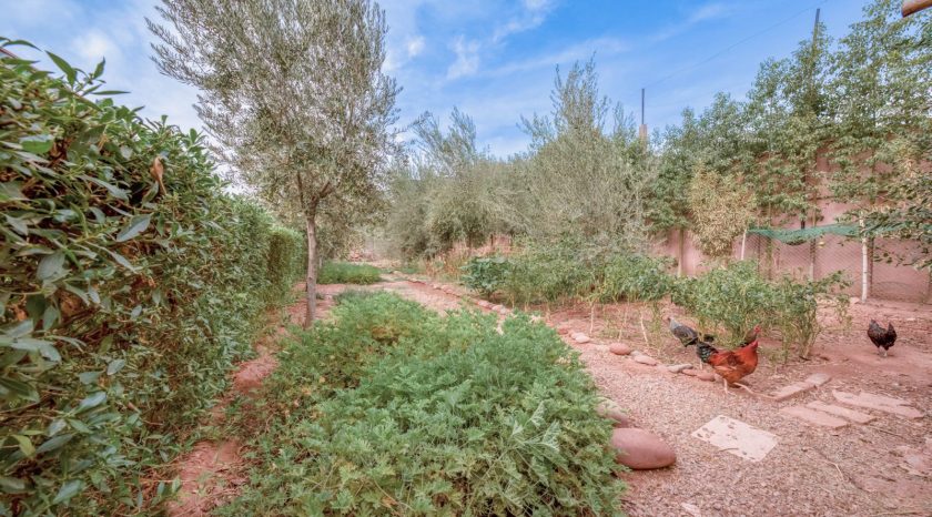 Riad BAM-Blue Marrakesh